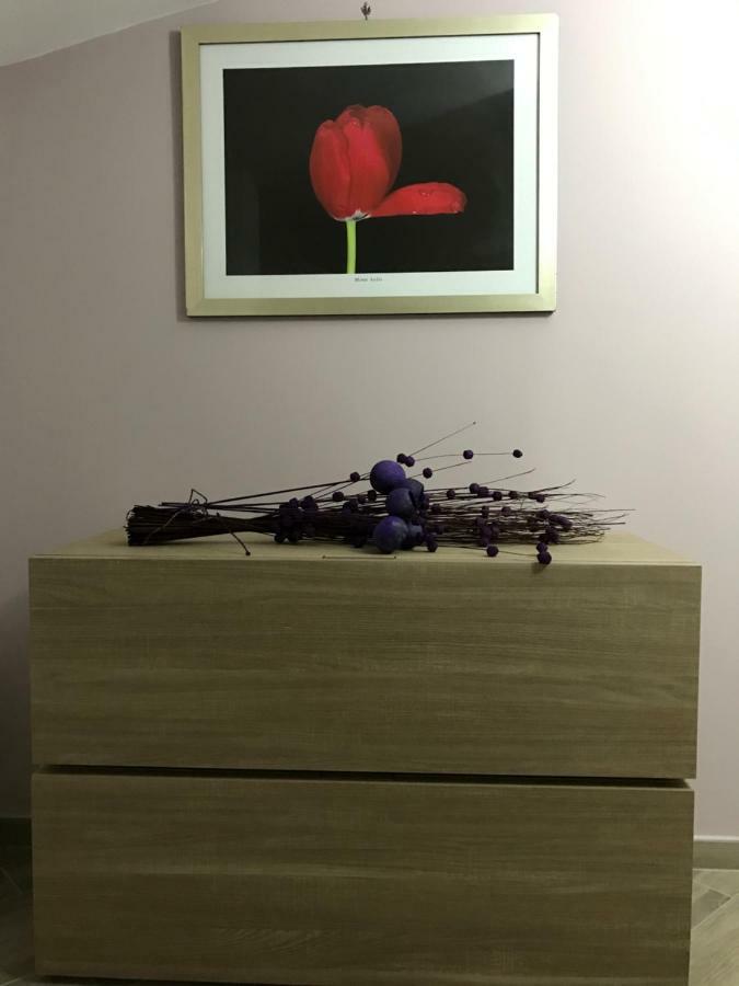 Residenza Murat カゼルタ エクステリア 写真